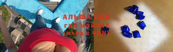 индика Верхний Тагил