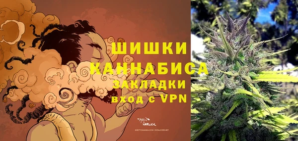 индика Верхний Тагил