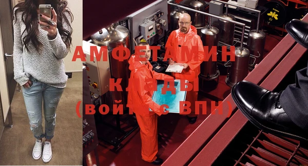 индика Верхний Тагил