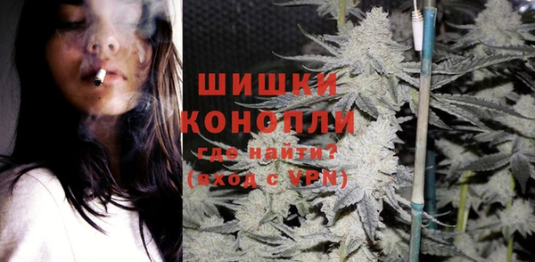 индика Верхний Тагил