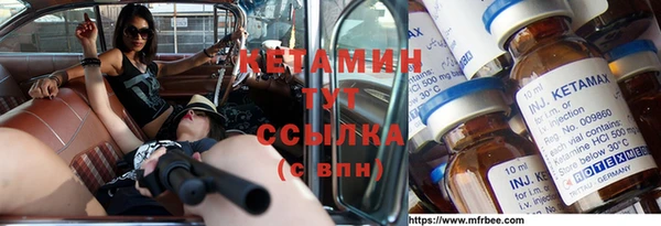 индика Верхний Тагил