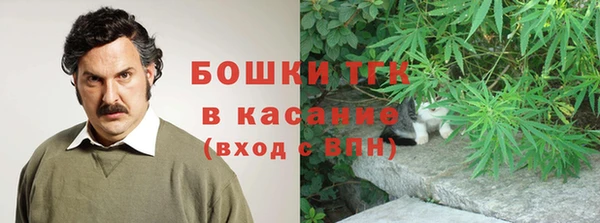 индика Верхний Тагил