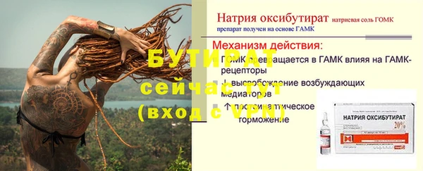 индика Верхний Тагил